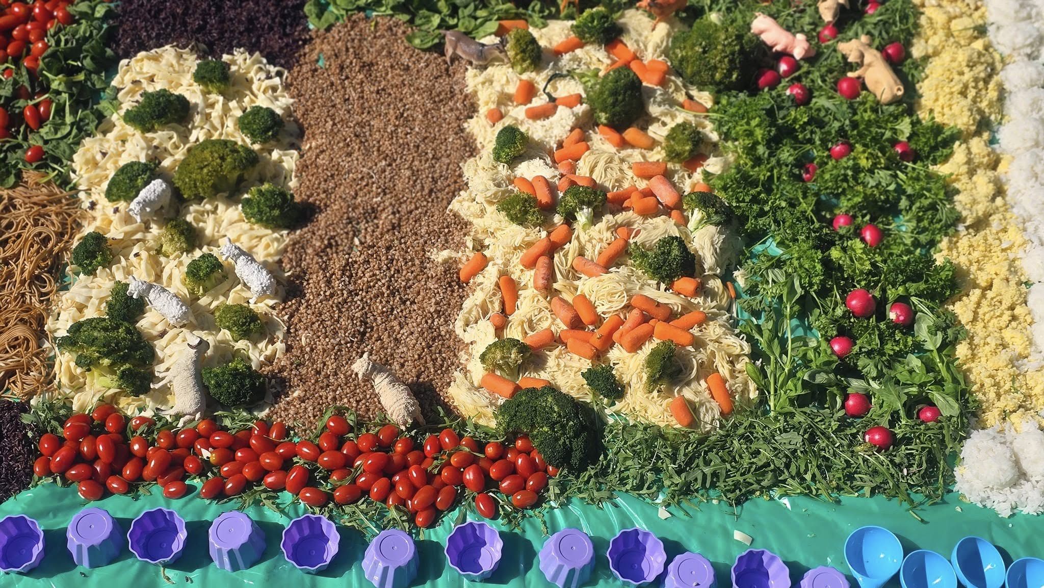 480699548_621940477111135_3365881959713810493_n